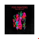 Foo Fighters Wasting Light Roswell Records