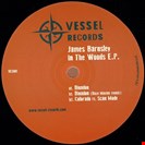 Barnsley, James In The Woods EP Vessel Records