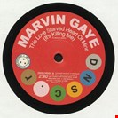 Gaye, Marvin / Shorty Long This Love Starved Heart Of Mine (It's Killing Me) Deptford Northern Soul Club Records