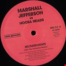 Jefferson, Marshall / Noosa Heads Mushrooms Dark Groove Records