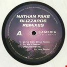 Fake, Nathan Blizzards (Remixes) Cambria Instruments