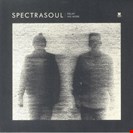 Spectrasoul Delay No More Shogun Audio