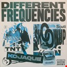 Various Artists  Different Frequencies Different