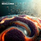 Cruz, Nicola Fabric Presents: Nicola Cruz LP (2x12