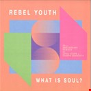 Rebel Youth What is soul? (30th anniversary remixes) Systematic