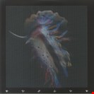 Sub Focus Evolve - Lenticular Deluxe Version EMI