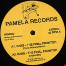 Sims, Jo Bass: The Final Frontier Pamela Records