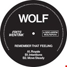 Frits Wentink Remember that Feeling Wolf Music