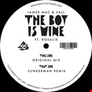 Mac, James / Vall Feat Rosalie The Boy Is Mine Sweat It Out
