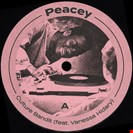 Peacey / Hidary, Vanessa Culture Bandit feat. Vanessa Hidary At Jazz