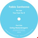 Santanna, Fabio You Can Do It Dippin' Records