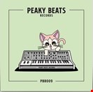Peaky Beats / Breakfake PBR009 Peaky Beats Records