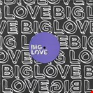 Haji, Seamus / Illyus & Barrientos / Earnshaw,Richard / Meme, DJ [V5] A Touch Of Love EP5 Big Love