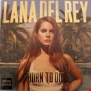 Del Rey, Lana Born To Die - Paradise Edition Interscope