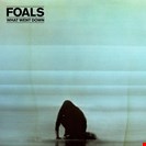 Foals, The What Went Down Transgressive