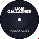 Gallagher, Liam Wall Of Glass Warners