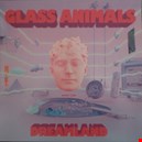 Glass Animals|glass-animals 1